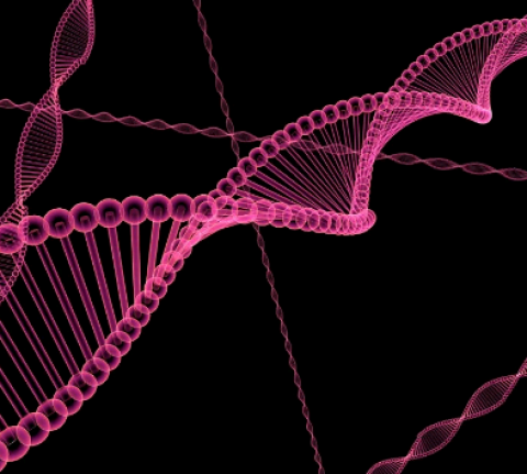 TREATMENT OF AUTO-IMMUNITY WITH INHIBITION OF DNA REPAIR