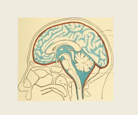 Nervous System Diagnosis